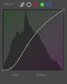 Lightroom tone curve panel