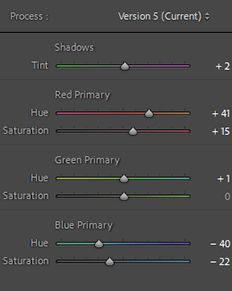 Lightroom calibration panel