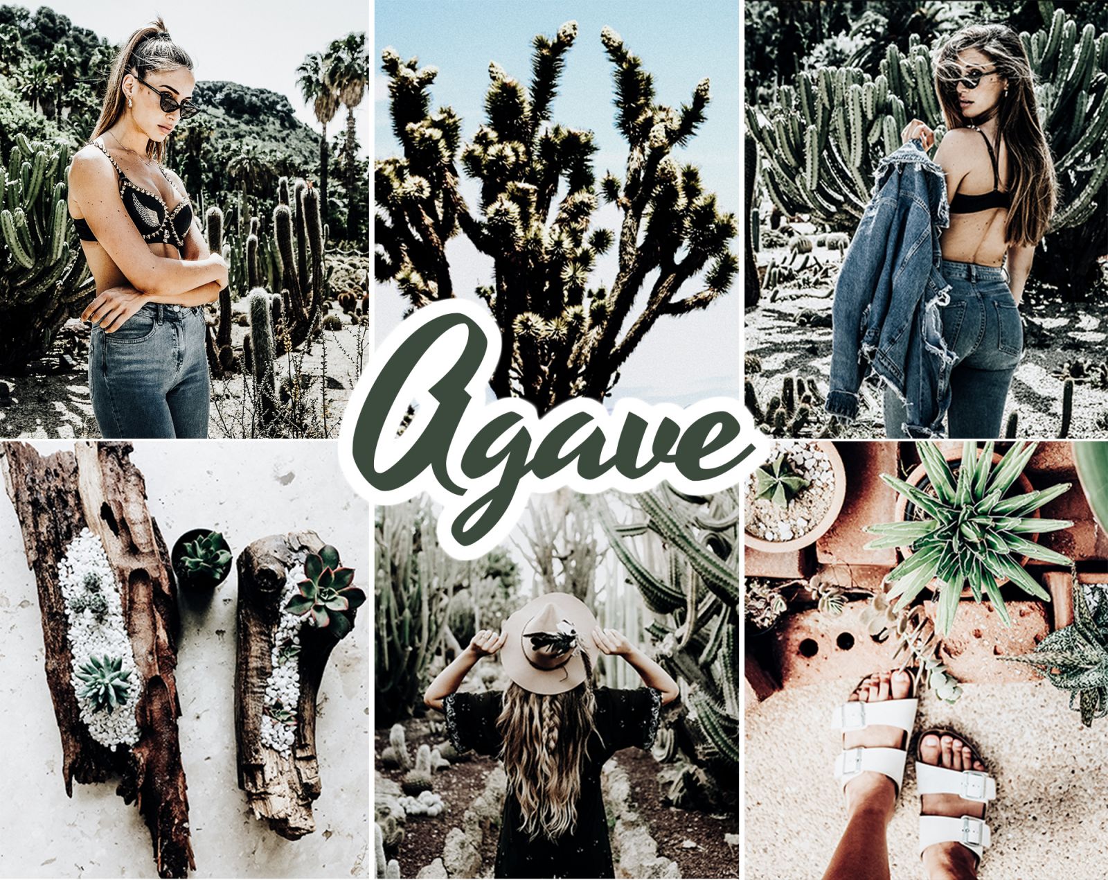 Agave Lightroom presets