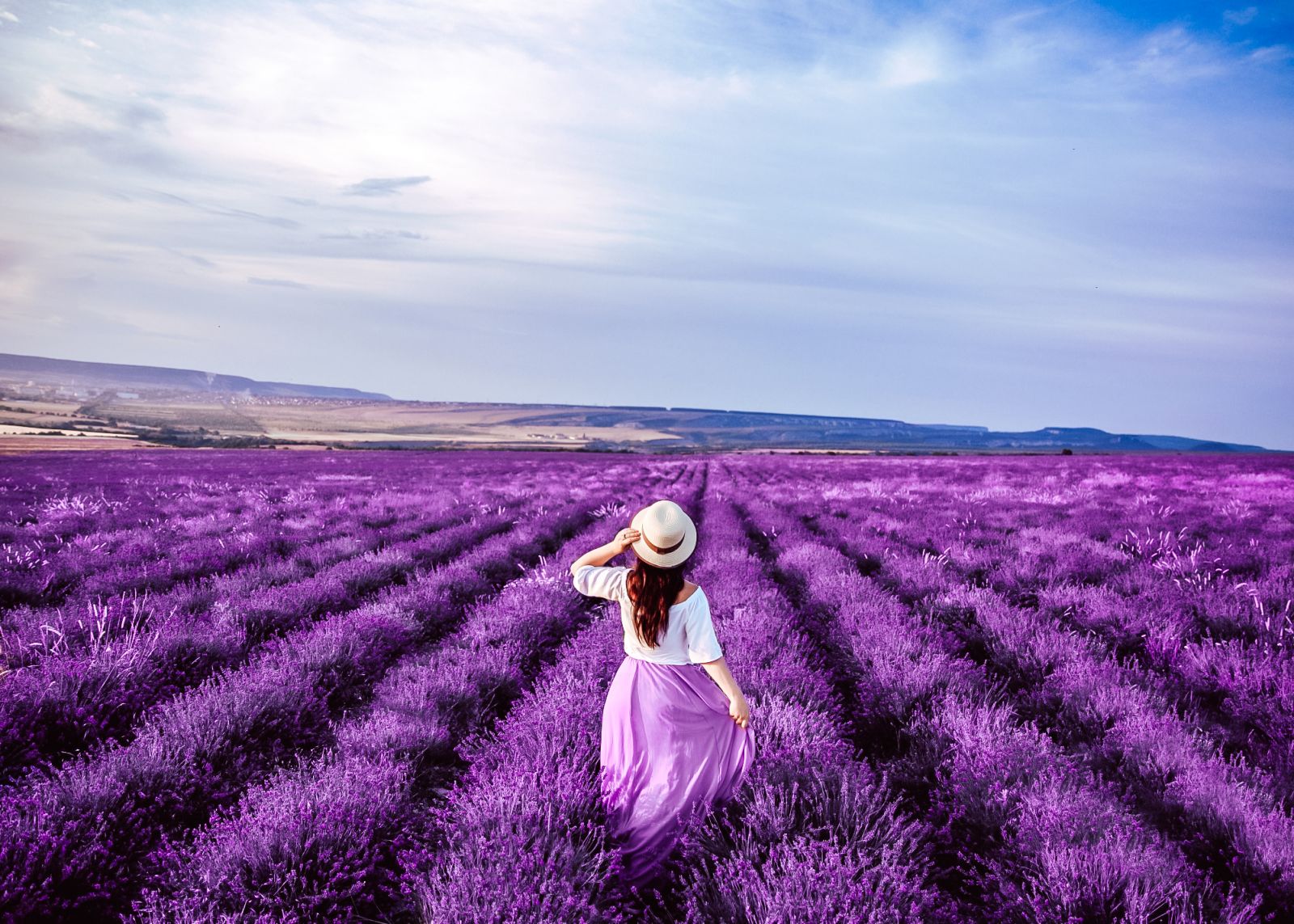 Lavender field edited with Lavender preset – after