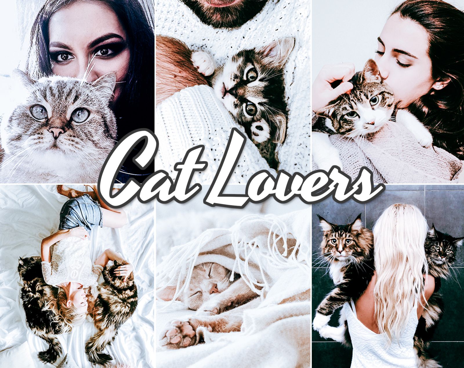 Cat Lovers Lightroom presets