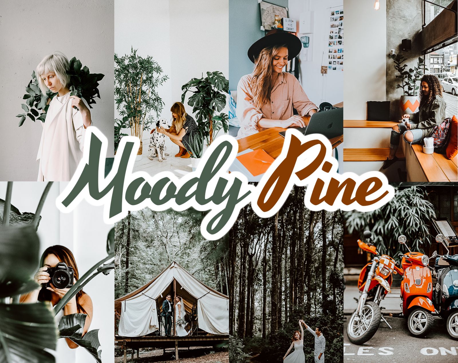 Moody Pine Lightroom presets
