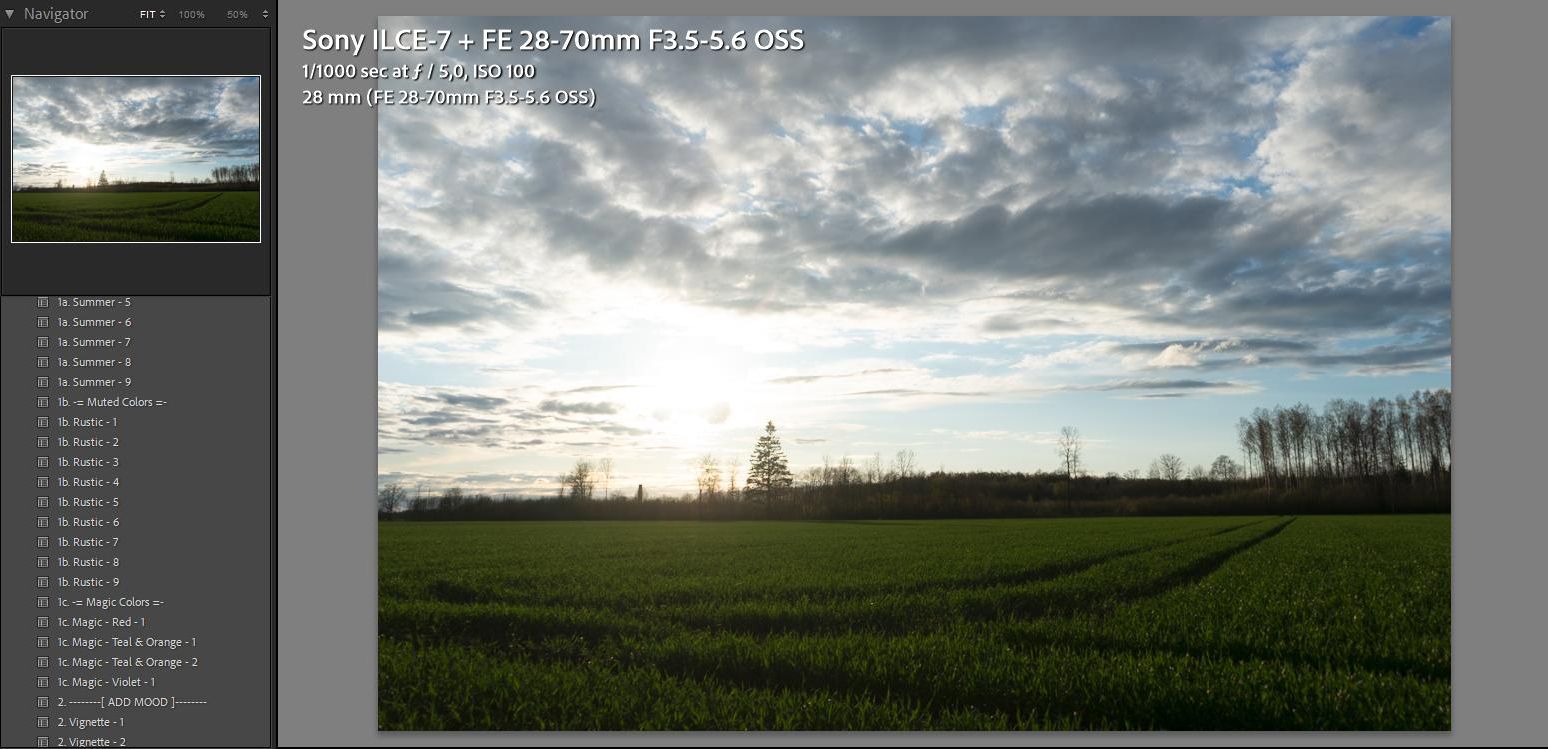 Unedited RAW photo in Lightroom