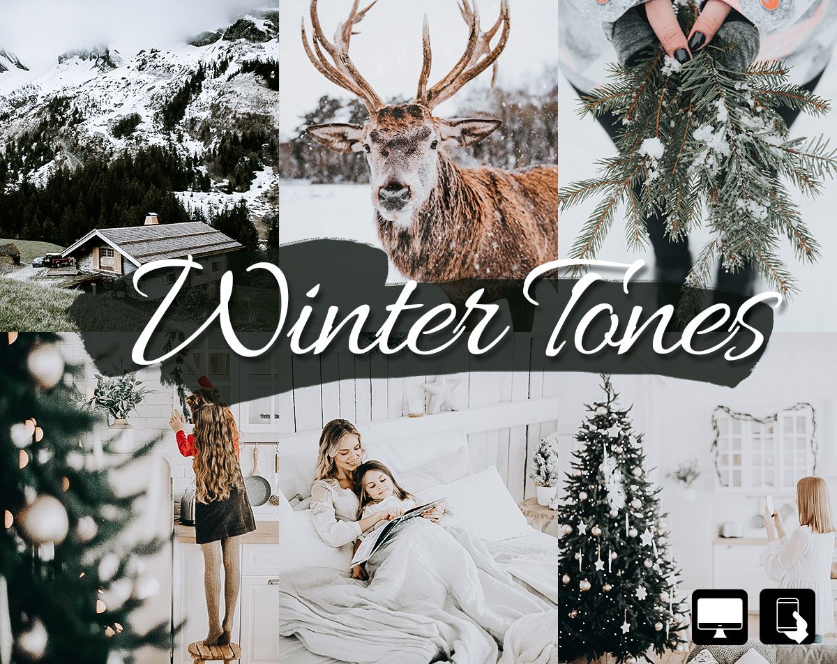 Winter Tones Lightroom presets
